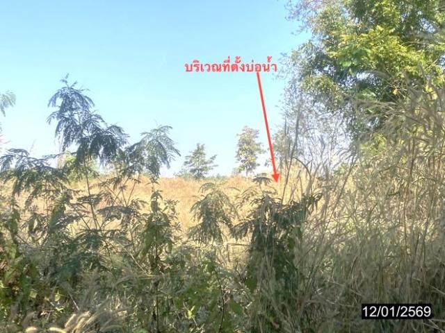 บ้านเดี่ยว 2000 ตร.วา บ้านผือ อุดรธานี 2.6M