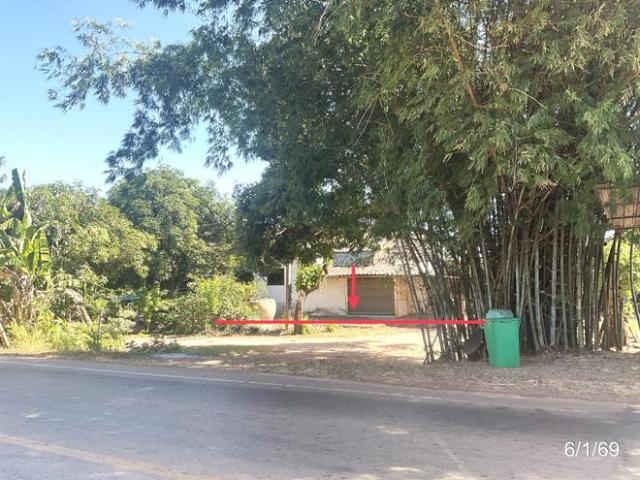 บ้านเดี่ยว 200 ตร.วา หนองกุงศรี กาฬสินธุ์ 877,000