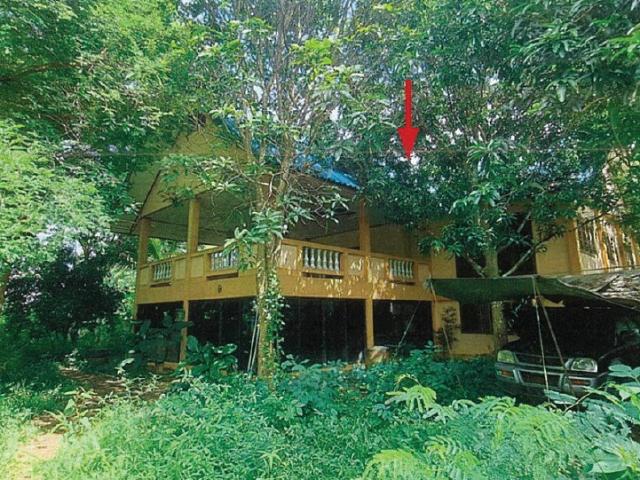 บ้านเดี่ยว 200 ตร.วา อำเภอลับแล อุตรดิตถ์ 4M