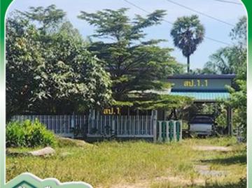 บ้านเดี่ยว 214 ตร.วา โพธิ์ชัย ร้อยเอ็ด 1.6M