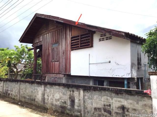บ้านเดี่ยว 222 ตร.วา แม่สรวย เชียงราย 1.1M