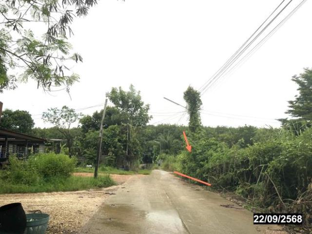 บ้านเดี่ยว 222 ตร.วา ศรีเชียงใหม่ หนองคาย 712,000