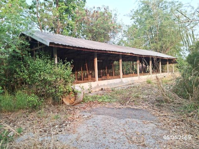 บ้านเดี่ยว 2354 ตร.วา เมืองสกลนคร สกลนคร 2.1M