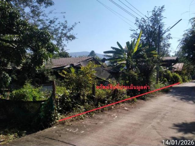 บ้านเดี่ยว 237 ตร.วา ฮอด เชียงใหม่ 424,000