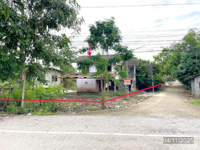 บ้านเดี่ยว 238 ตร.วา บางระกำ พิษณุโลก 1.7M