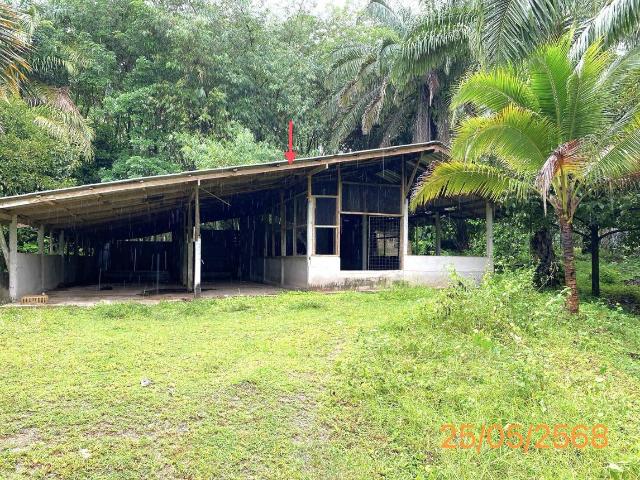 บ้านเดี่ยว 2394 ตร.วา คุระบุรี พังงา 2.9M