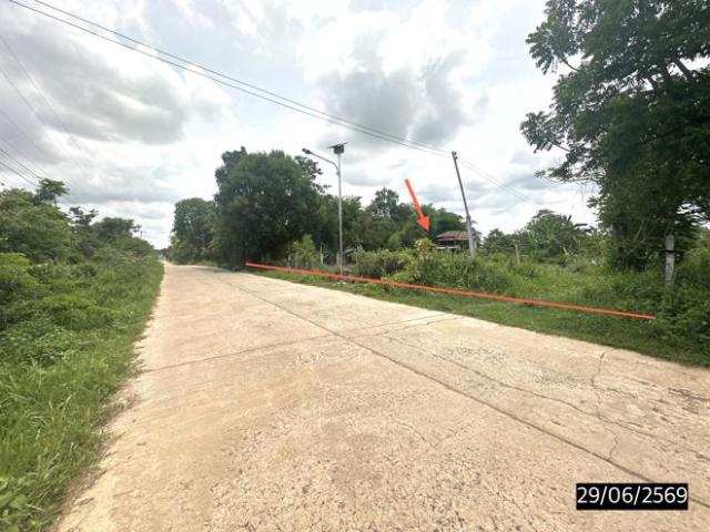 บ้านเดี่ยว 2403 ตร.วา โพนทอง ร้อยเอ็ด 3.1M