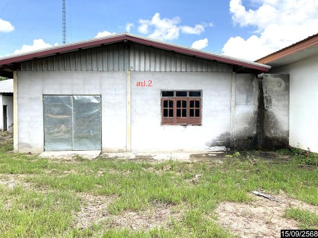 บ้านเดี่ยว 243 ตร.วา ภูเขียว ชัยภูมิ 1.2M