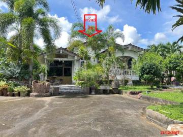บ้านเดี่ยว 246 ตร.วา อำเภอตะโหมด พัทลุง 3.4M