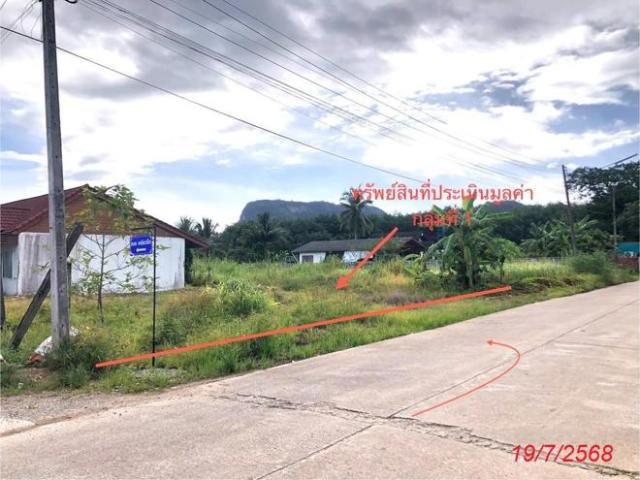 บ้านเดี่ยว 248 ตร.วา บ้านตาขุน สุราษฎร์ธานี 5M