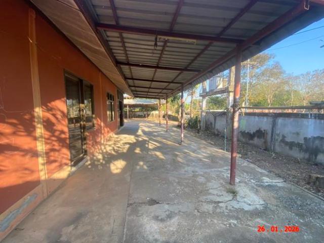 บ้านเดี่ยว 257 ตร.วา ฆ้องชัย กาฬสินธุ์ 2.8M