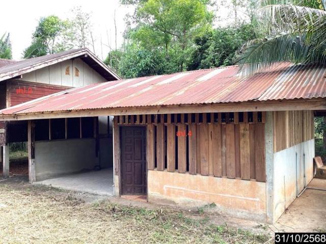 บ้านเดี่ยว 2641 ตร.วา เซกา บึงกาฬ 9M