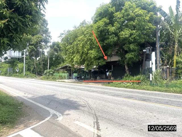 บ้านเดี่ยว 265 ตร.วา เลิงนกทา ยโสธร 1.5M