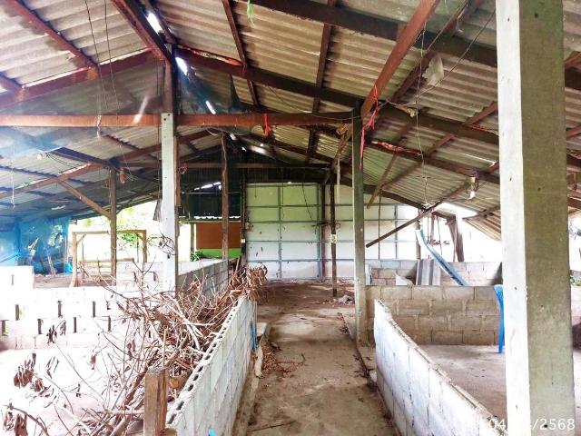 บ้านเดี่ยว 268 ตร.วา ศรีประจันต์ สุพรรณบุรี 831,000