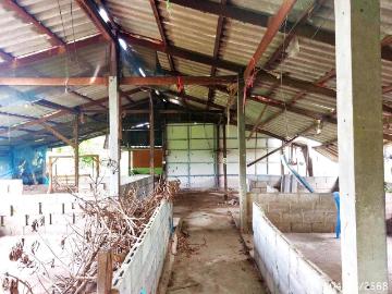 บ้านเดี่ยว 268 ตร.วา ศรีประจันต์ สุพรรณบุรี 831,000
