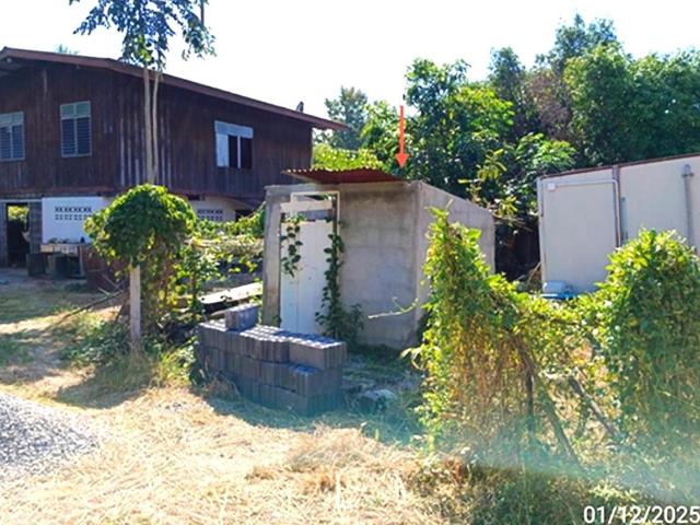 บ้านเดี่ยว 270 ตร.วา หนองไผ่ เพชรบูรณ์ 1M