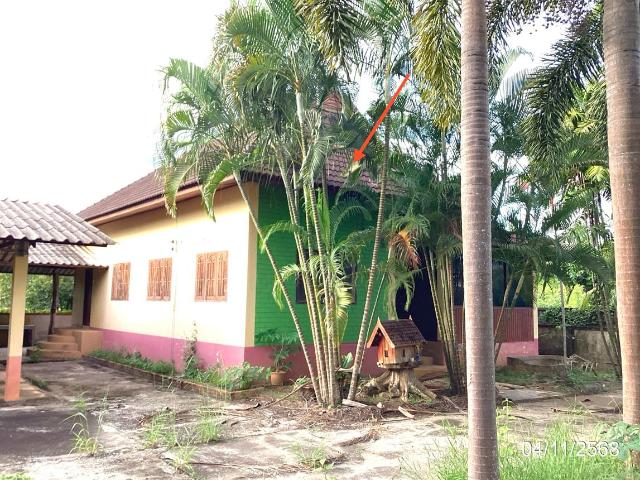 บ้านเดี่ยว 273 ตร.วา เทิง เชียงราย 2.4M