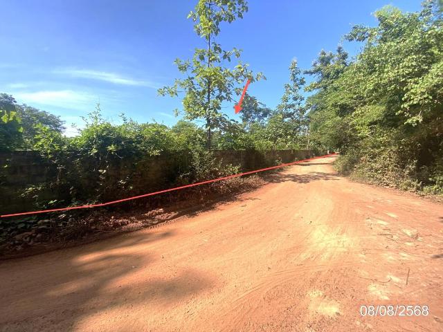 บ้านเดี่ยว 2753 ตร.วา กุฉินารายณ์ กาฬสินธุ์ 3.1M