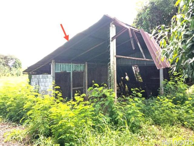 บ้านเดี่ยว 286 ตร.วา สูงเม่น แพร่ 4.9M