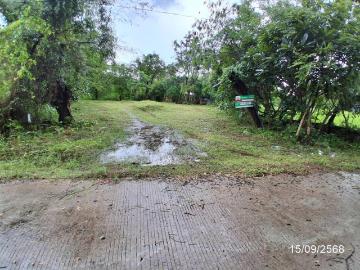 บ้านเดี่ยว 2910 ตร.วา พนา อำนาจเจริญ 1.3M