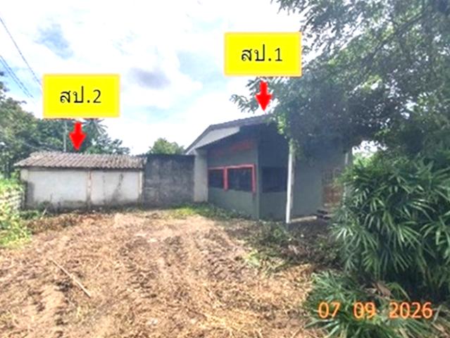 บ้านเดี่ยว 2942 ตร.วา งาว ลำปาง 14.5M