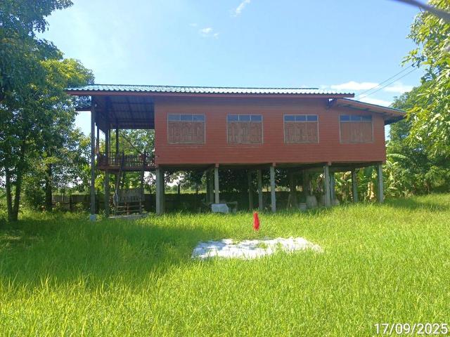 บ้านเดี่ยว 300 ตร.วา เมืองสุโขทัย สุโขทัย 1.2M