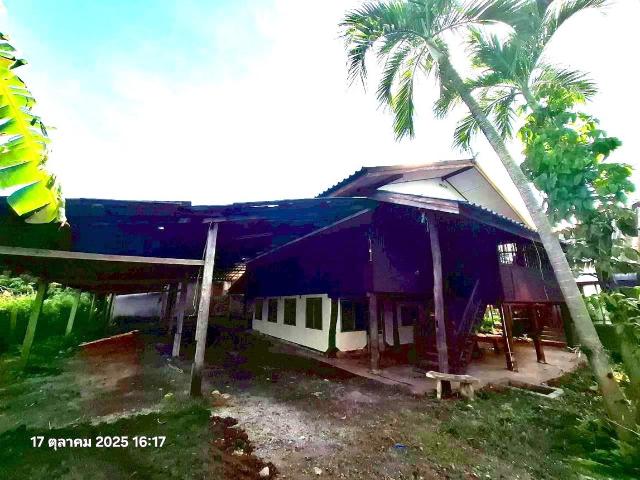 บ้านเดี่ยว 301 ตร.วา หางดง เชียงใหม่ 2.9M