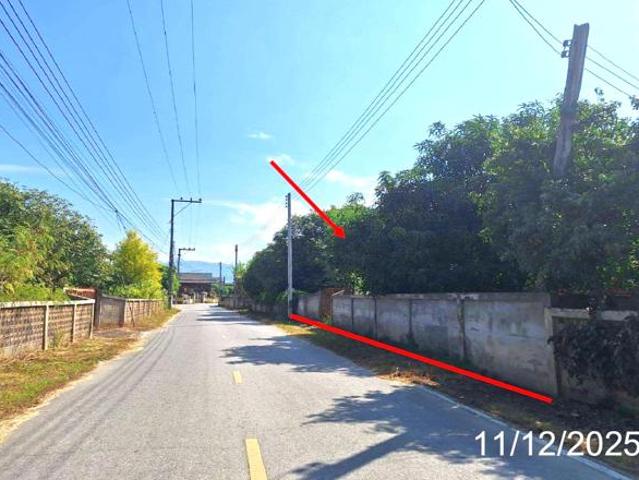 บ้านเดี่ยว 305 ตร.วา บ้านโฮ่ง ลำพูน 848,000
