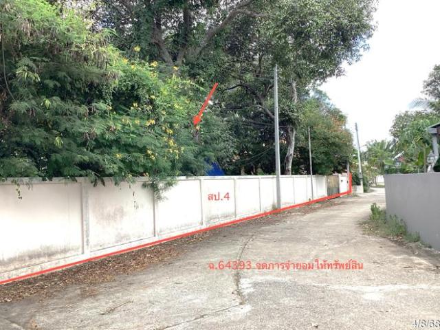 บ้านเดี่ยว 312 ตร.วา ซี เจย์ หัวหิน ประจวบคีรีขันธ์ 4.2M