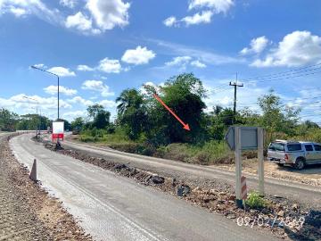 บ้านเดี่ยว 31 ตร.วา นาทวี สงขลา 1.5M