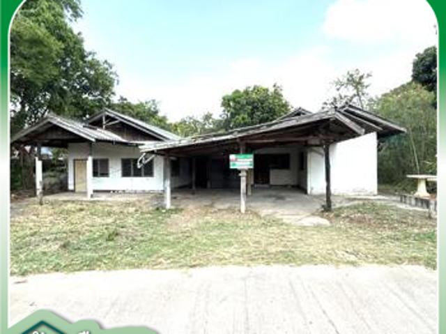 บ้านเดี่ยว 325 ตร.วา สูงเนิน นครราชสีมา 2.8M
