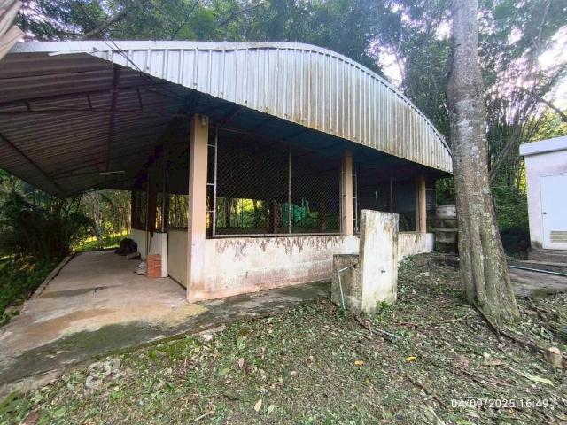 บ้านเดี่ยว 3291 ตร.วา แม่สาย เชียงราย 13M
