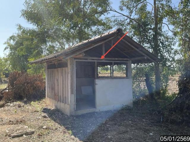 บ้านเดี่ยว 3394 ตร.วา เทิง เชียงราย 11.8M