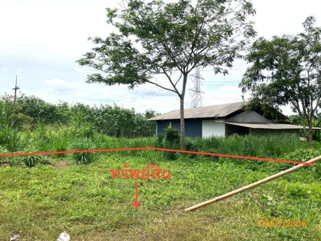 บ้านเดี่ยว 343 ตร.วา พุนพิน สุราษฎร์ธานี 4M