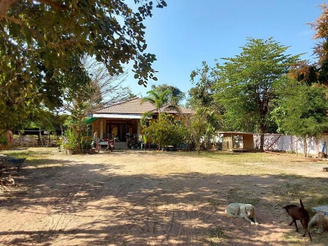 บ้านเดี่ยว 345 ตร.วา อำเภอเมืองขอนแก่น จังหวัดขอนแก่น 1.1M