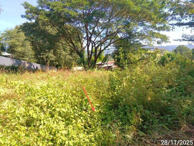 บ้านเดี่ยว 361 ตร.วา แม่ระมาด ตาก 801,000