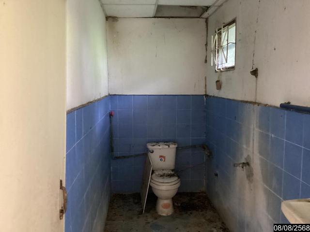 บ้านเดี่ยว 361 ตร.วา เมืองหนองบัวลำภู หนองบัวลำภู 2.5M