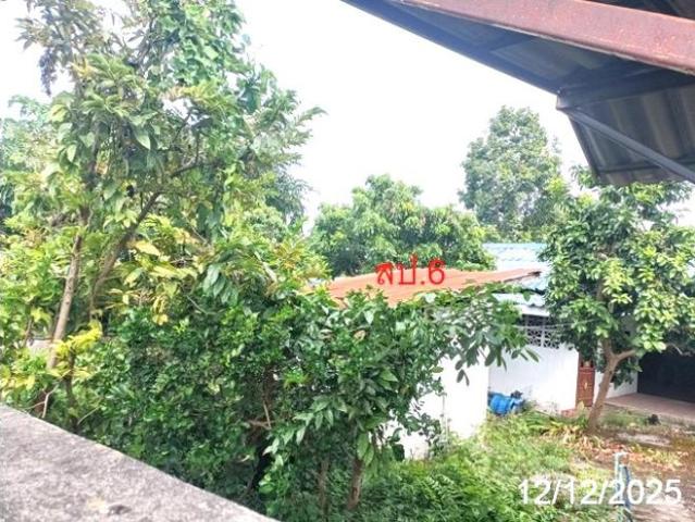 บ้านเดี่ยว 365 ตร.วา ไชยปราการ เชียงใหม่ 2.2M