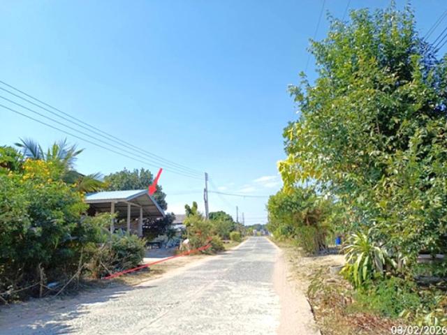 บ้านเดี่ยว 371 ตร.วา สตึก บุรีรัมย์ 975,000