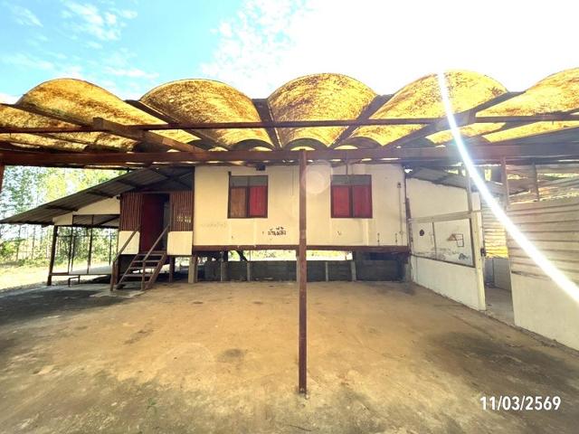 บ้านเดี่ยว 3759 ตร.วา พิมาย นครราชสีมา 1.9M