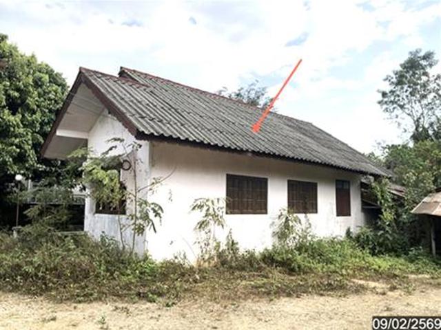 บ้านเดี่ยว 379 ตร.วา แม่สาย เชียงราย 1.8M