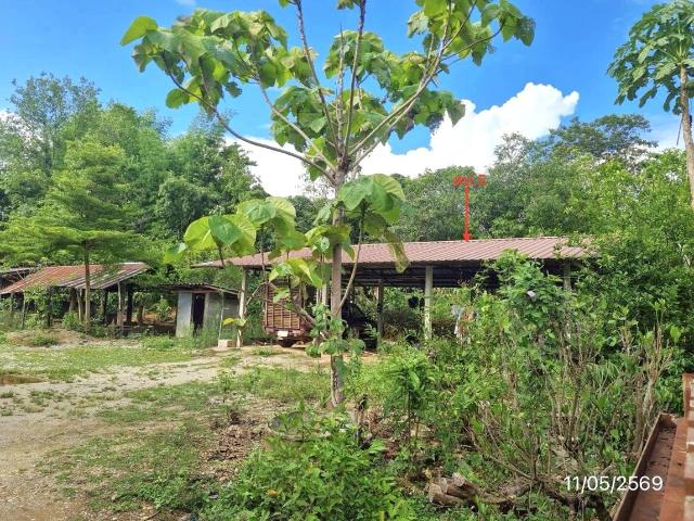 บ้านเดี่ยว 382 ตร.วา เมืองเชียงราย เชียงราย 3.5M