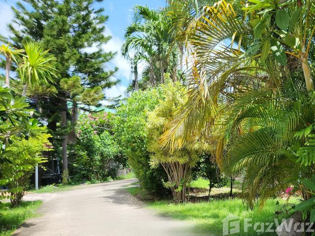 บ้านเดี่ยวให้เช่า 2 ห้องนอน ใน ป่าตอง, ภูเก็ต 6796
