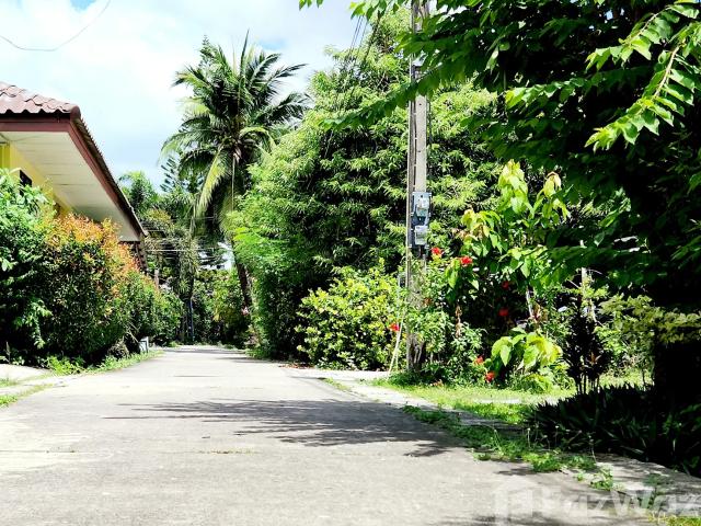 บ้านเดี่ยวให้เช่า 2 ห้องนอน ใน ป่าตอง, ภูเก็ต 6796