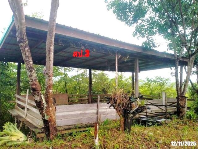 บ้านเดี่ยว 1142.1 ตร.วา ปากชม เลย 2.4M