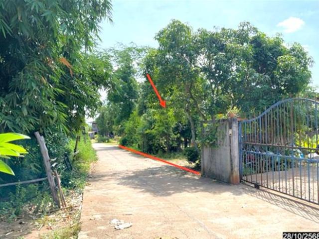 บ้านเดี่ยว 398 ตร.วา หนองหิน เลย 2.5M