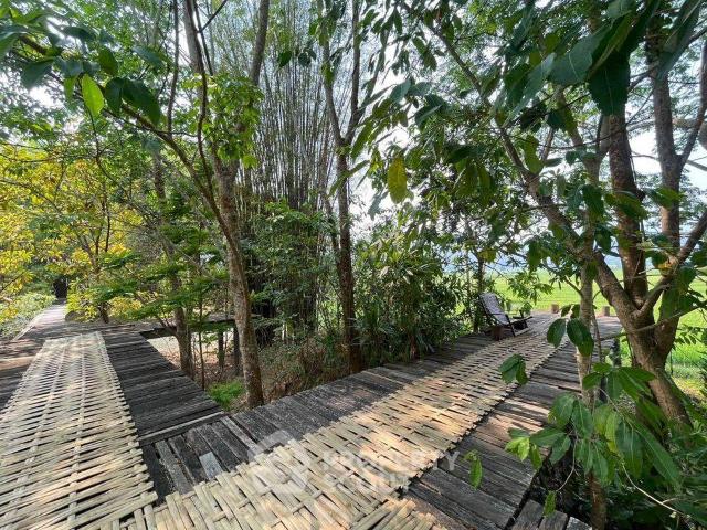 บ้าน 6 ห้องนอน ขาย บ้านสเตย์ โกเดย์เดย์ รับสัตว์เลี้ยง พื้นที่ 460 ตร.ม. ต.แม่สาง อ.แม่อาย จ.เชียงใหม่ ID 1850