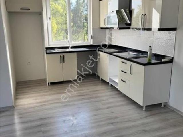 B&f Hurma Emlaktan Hurmada Kiralık 2+1 Özel Otopark, Kamelya