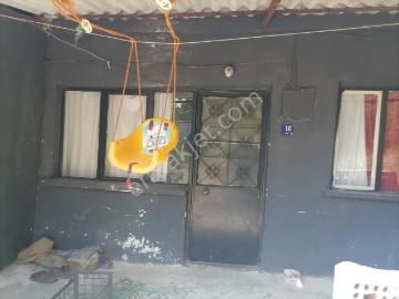 Bağarası, Söke, Söke, Aydın ili, Ege Bölgesi