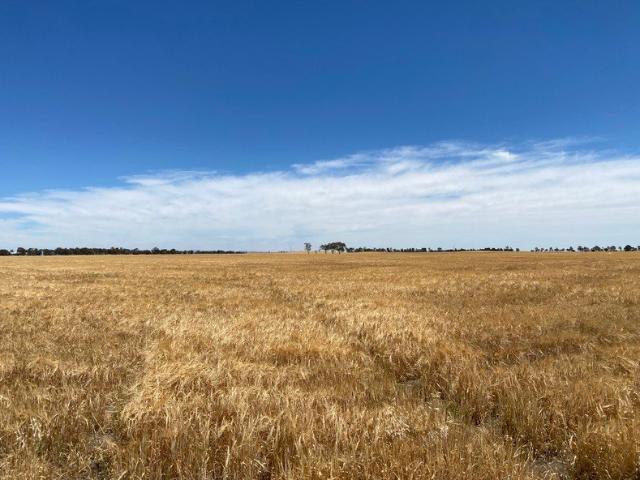 BANYENA DISTRICT